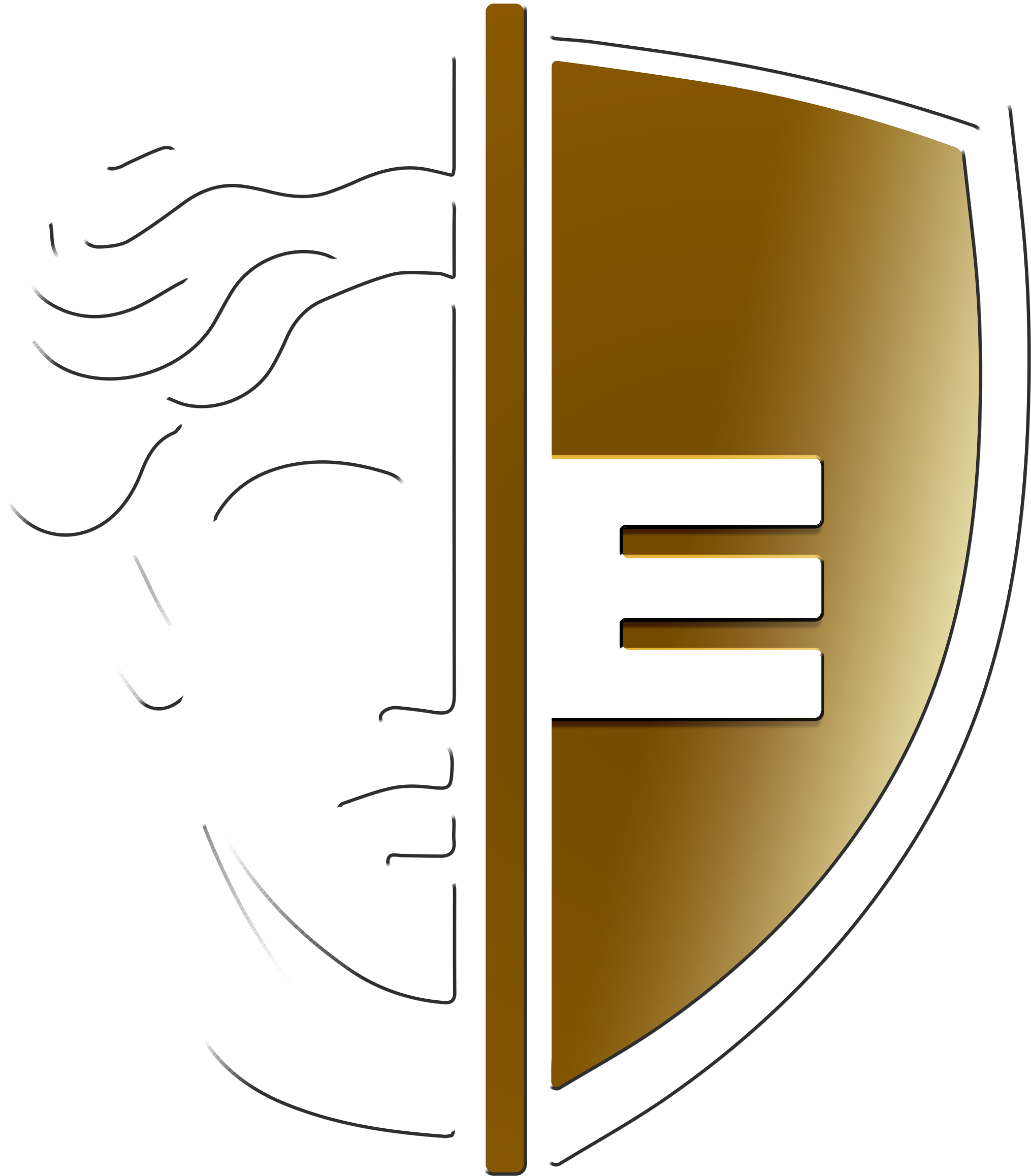 ethos-guard.com favicon